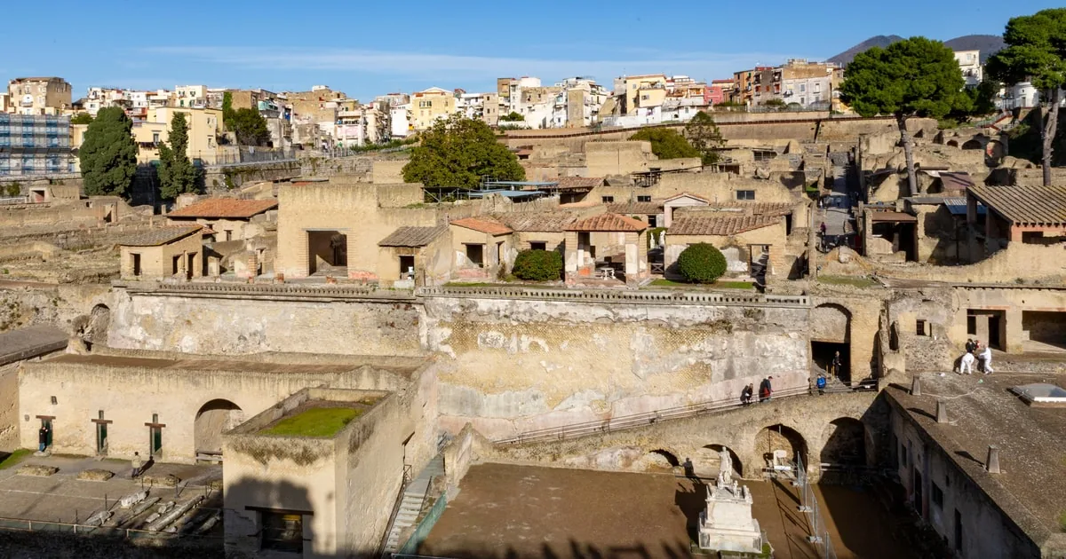 From Naples: Herculaneum Guided Tour with Tickets Included